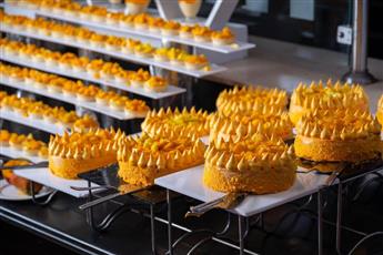 Cleopatra Luxury Resort Makadi Bay 5* Cleopatra Luxury Resort Makadi Bay 5*