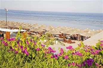 Cleopatra Luxury Resort Sharm Adults Only +16