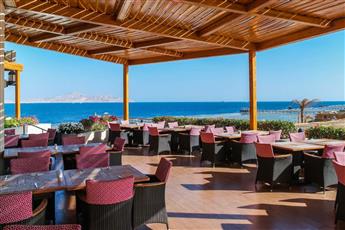 Cleopatra Luxury Resort Sharm Adults Only +16