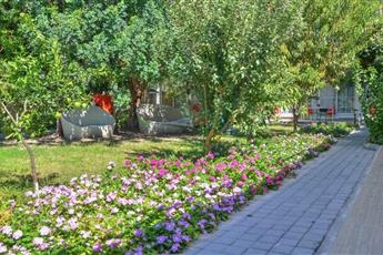 Clover Magic Altinkum Park Side 3*