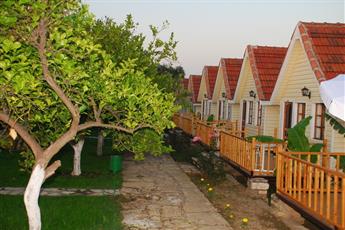 Clover Magic Nova Beach Hotel 3*