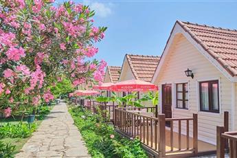 Clover Magic Nova Beach Hotel 3*