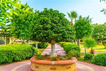 Clover Magic Park Beach Alanya 4*