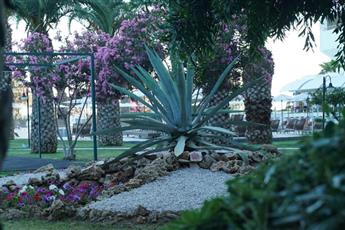 Club Beyy Resort Hotel 4*