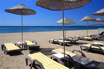 Club Cactus Paradise 4*