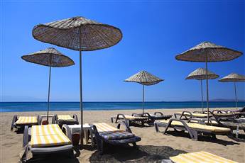 Club Cactus Paradise 4*