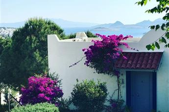 Club Dedeman Bodrum 4*