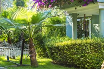 Club Dizalya