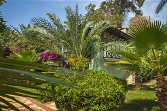 Club Dizalya