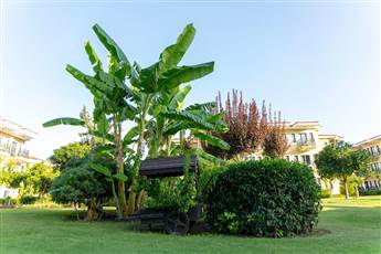 Club Hotel Phaselis Rose 5*