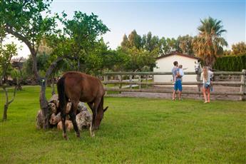 Club Hotel Turan Prince World 5*