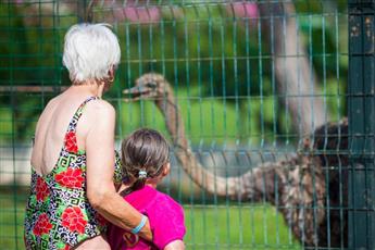 Club Hotel Turan Prince World 5*