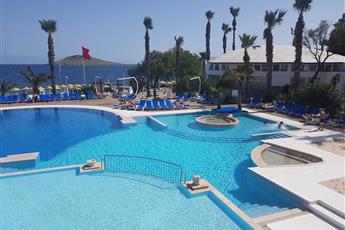 Club Muskebi