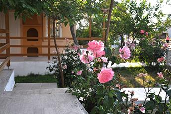 Club Papatya Hotel