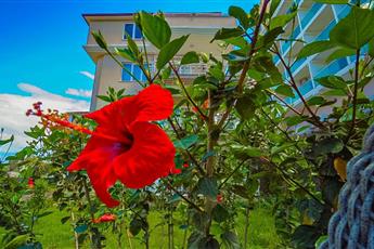 Club Wasa Holiday Village