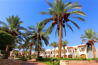 Coral Hills Resort Sharm El Sheikh 3*