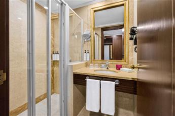 Crowne Plaza Istanbul Old City by IHG