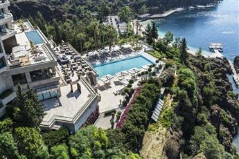 D Maris Bay