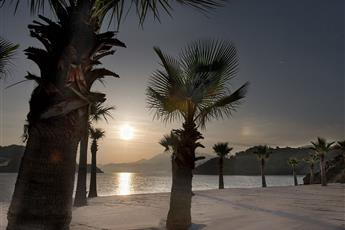 D Maris Bay