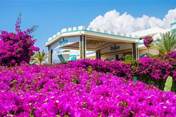 Daima Biz Hotel