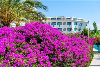 Daima Biz Hotel