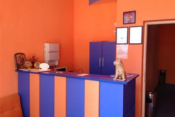 Dara Hotel Dara Hotel