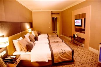 Darkhill Hotel