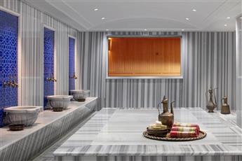 Delta Hotels by Marriott Istanbul Vadi Kagithane 5*