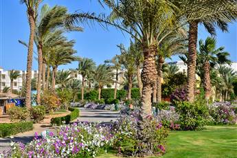 Desert Rose Resort 5*