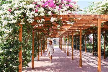 Desert Rose Resort 5*