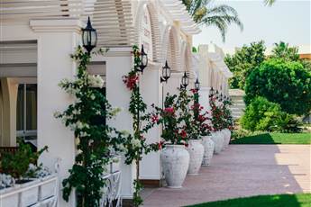 Desert Rose Resort 5*