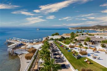 Design Plus Seya Beach Resort