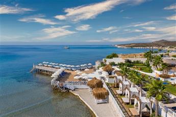 Design Plus Seya Beach Resort