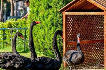 Dobedan World Palace 5*