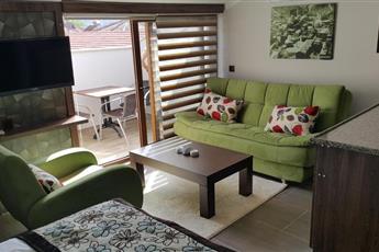 Dolphin Apart Sarigerme 3*