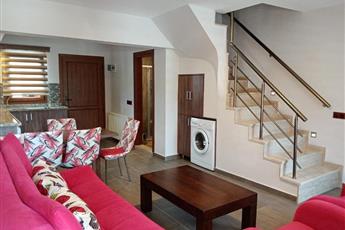 Dolphin Apart Sarigerme 3*