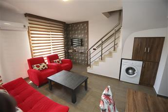 Dolphin Apart Sarigerme 3*