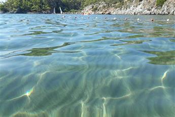 Dolphin Apart Sarigerme 3*