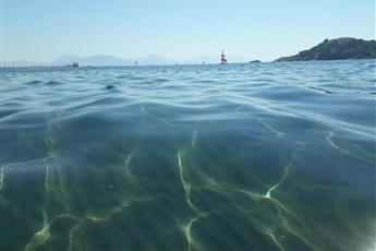 Dolphin Apart Sarigerme 3*