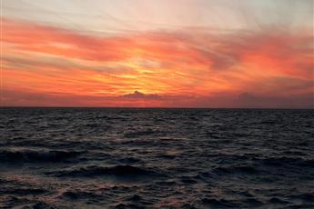 Dolphin Apart Sarigerme 3*