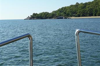 Dolphin Apart Sarigerme 3*