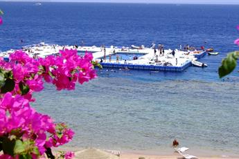 Domina Coral Bay Harem 5*