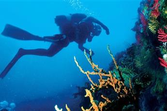 Domina Coral Bay Oasis 5*