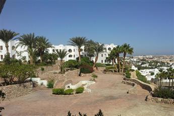 Domina Coral Bay Oasis 5*