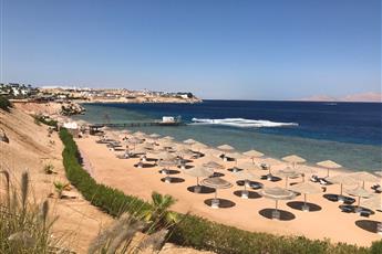 Domina Coral Bay Oasis 5*