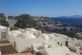 Domina Coral Bay Oasis 5*