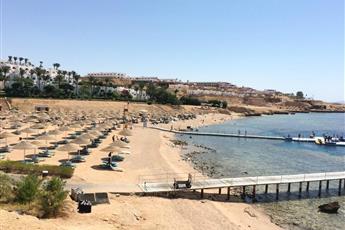 Domina Coral Bay Oasis 5*