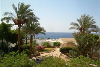 Domina Coral Bay Oasis 5*