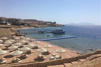 Domina Coral Bay Oasis 5*