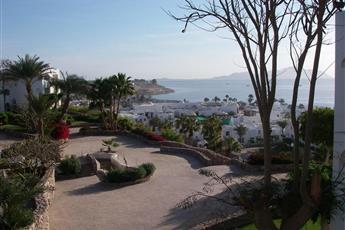 Domina Coral Bay Oasis 5*